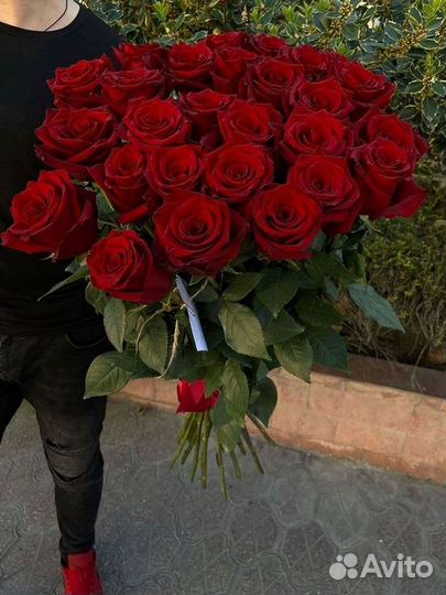 Высокие розы Гигантские Розы 150 160 170 180 190см