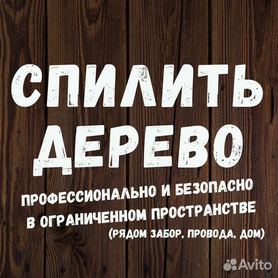 Обрезка туй и плодовых Спилить дерево Садовник