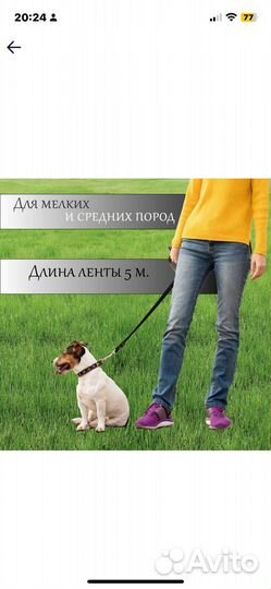 Поводок рулетка для собак