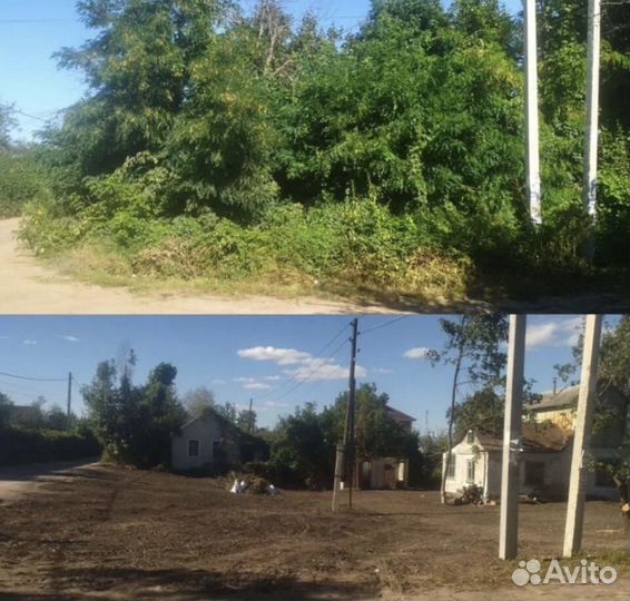 Расчистка участка от деревьев и кустарников