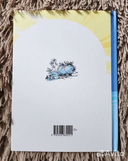 Книга Аня и Маня (И. Грекова)