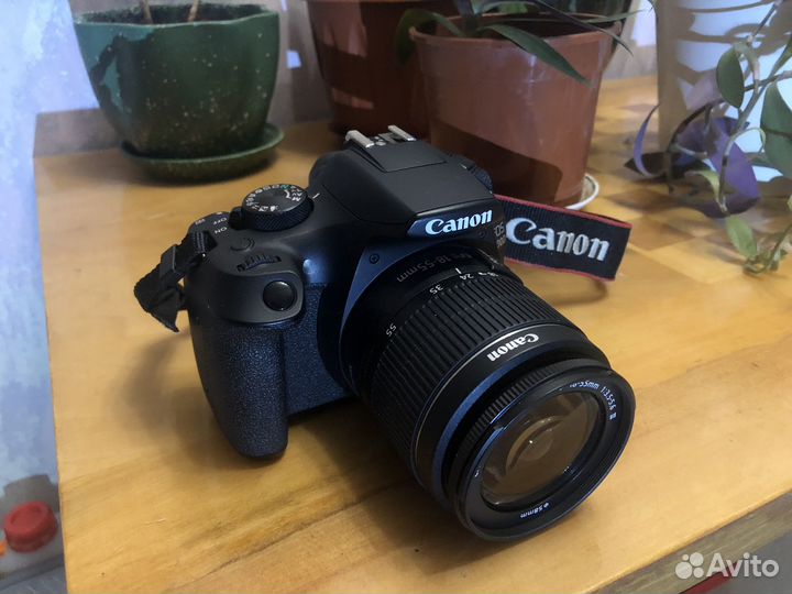 Зеркальный фотоаппарат Canon EOS 1300D