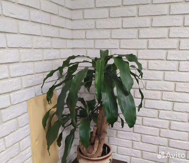 Декоративный кирпич. Плитка под кирпич