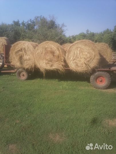 Сено в рулонах 2023