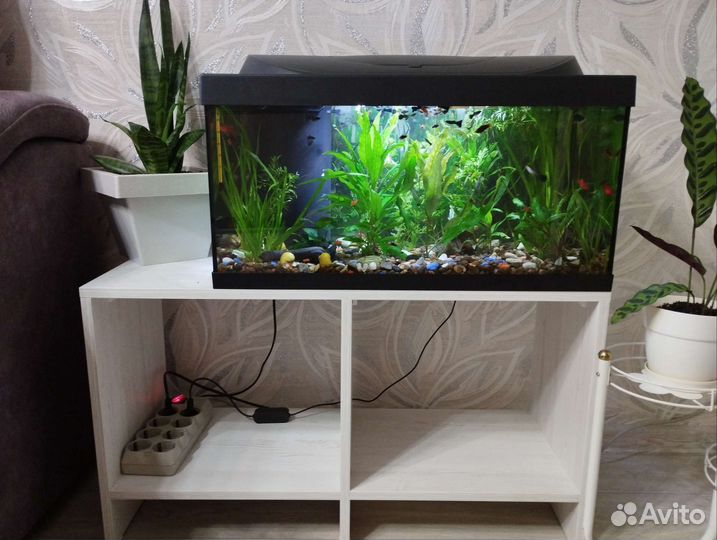 Аквариум