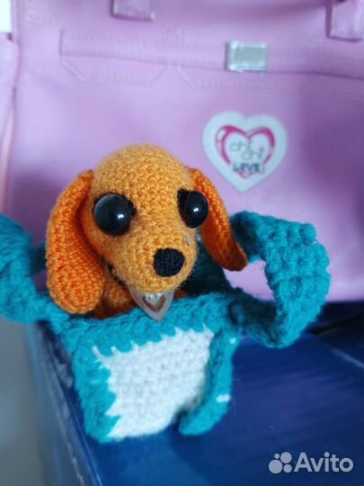 Собачка чичилав chi chi love