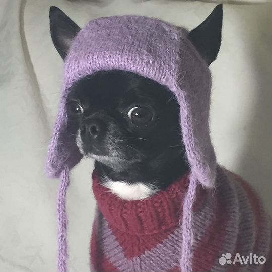 Шапочка ушанка для маленькой собачки