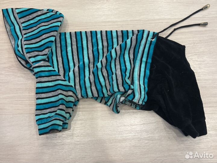 Одежда для маленьких пород собак