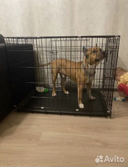 Клетка вольер для животных #4 93х67х71 NEW