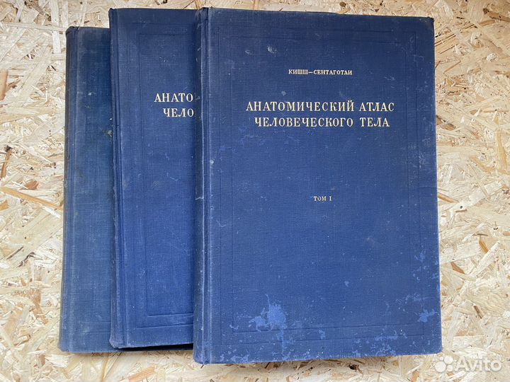 Анатомический атлас человеческого тела