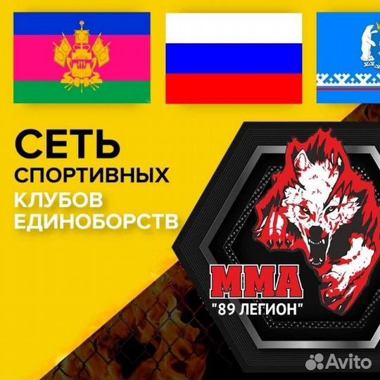 Смешанные единоборства(MMA)