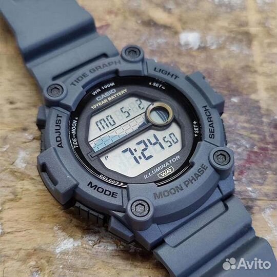 Часы мужские Casio Collection WS-1300H-8A