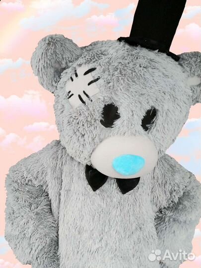 Мишка тедди