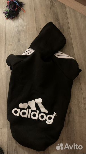 Одежда для собак