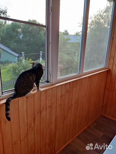 Пластиковые окна на лоджию, балкон, остекление