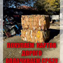 Прием картона и пленки, Кизляр