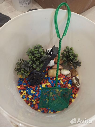 Все для рыбок