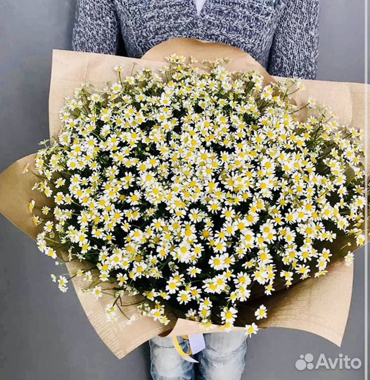 Ромашки цветы с доставкой букеты