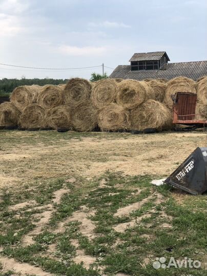 Сено в рулонах 2023