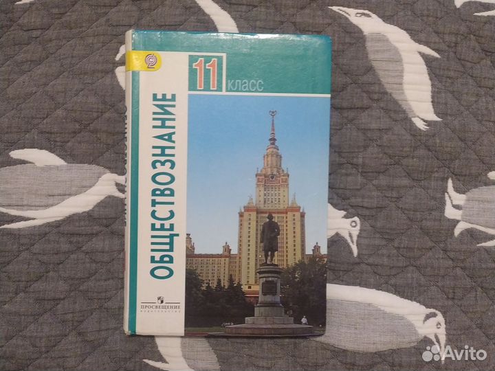 Обществознание 11 класс боголюбов