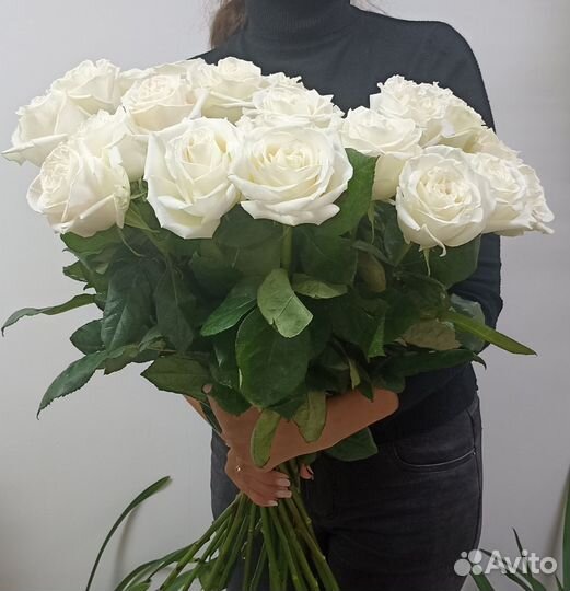 Роза Эквадор 60 см