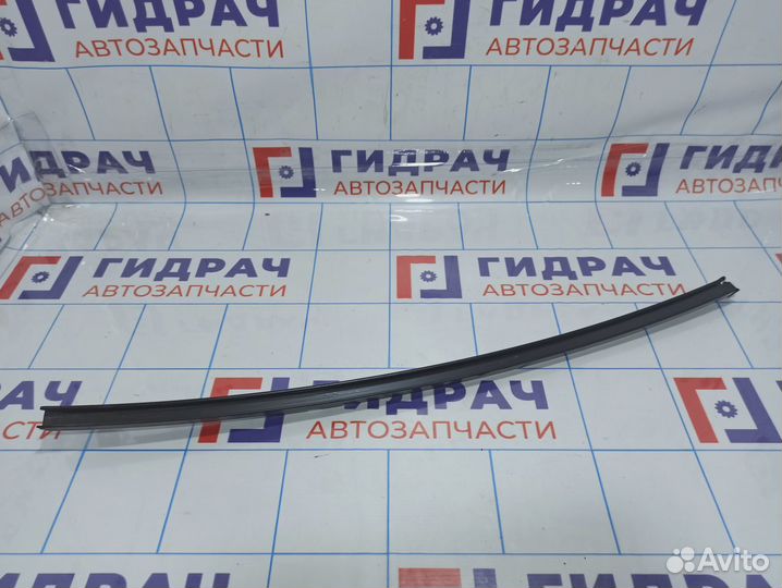 Направляющая стекла двери задней левой Suzuki Grand Vitara (JT) 81780-65J01