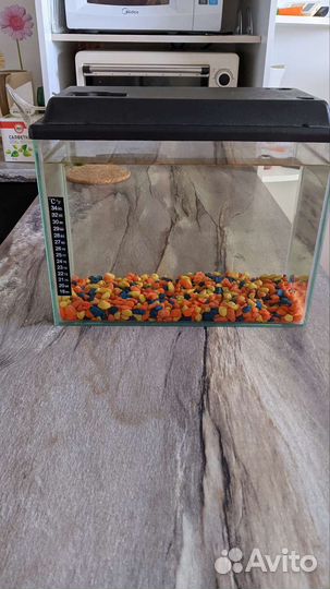 Аквариум с фильтром и светом