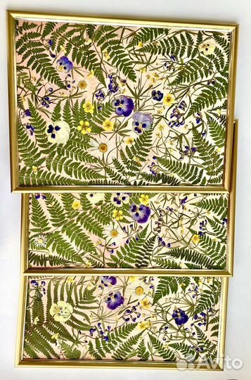 Панно из прессованных цветов (гербарий)