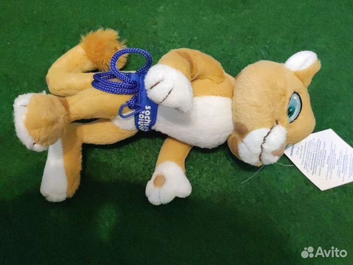 Леопард Сочи 2014