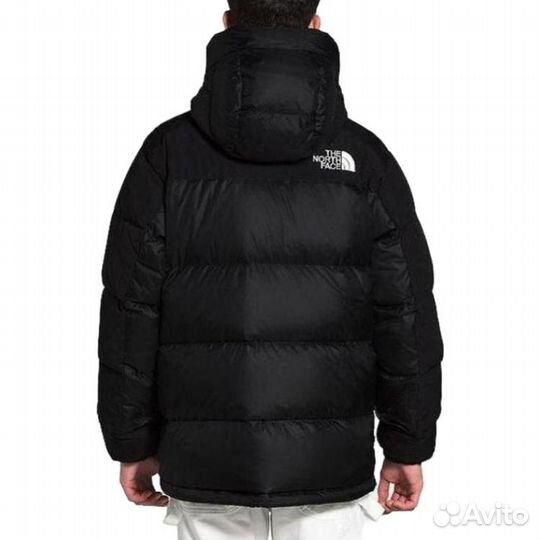 THE north face Down Jacket Men Black (L)(68)