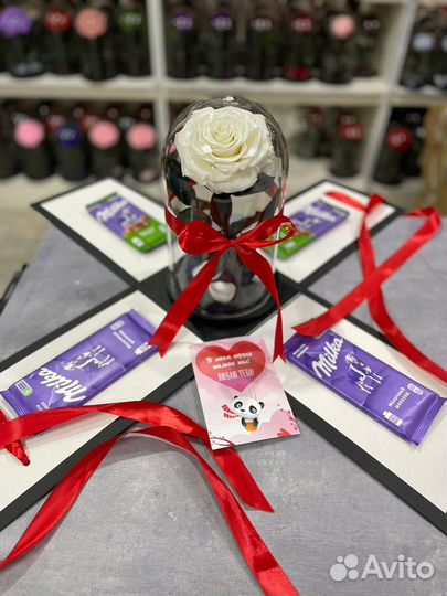 Живая роза в колбе