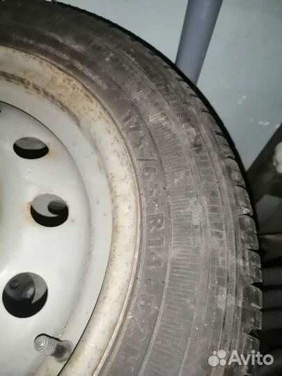 Accelera Alpha 175/65 R14