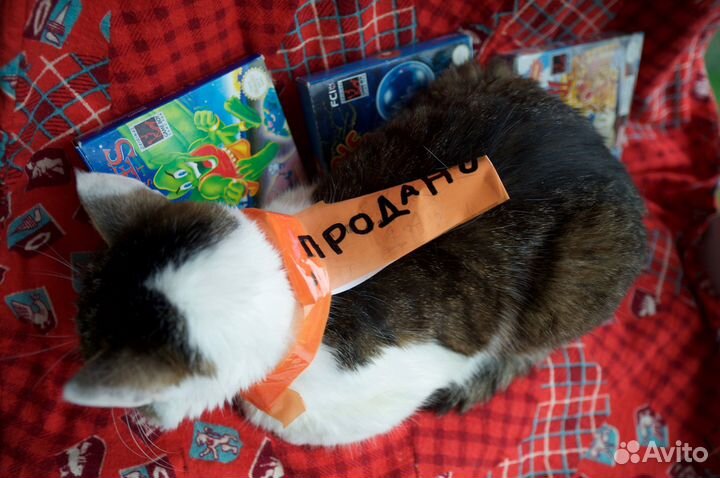 GameBoy MGB001, DMG-RA-UKV, DMG-BG-UKV, DMG-VD-USA