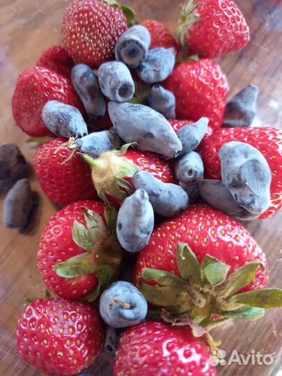 Ягода жимолость и др. с доставкой на Правый Берег