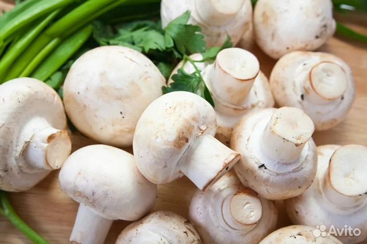 Инвестируй в будущее