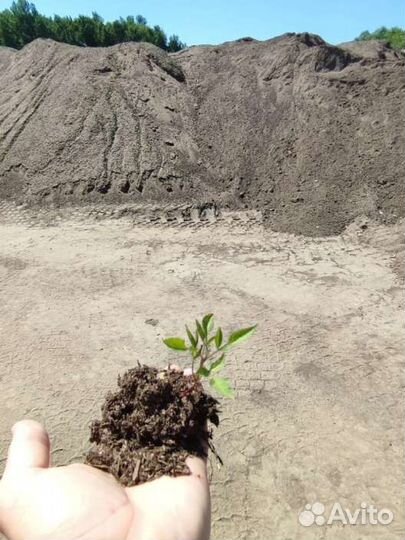 Навоз коровий (прелый) в мешках 25 л