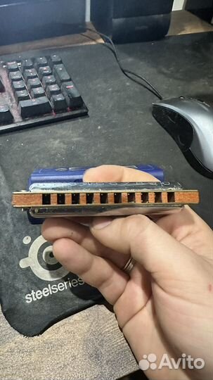 Губная гармошка hohner