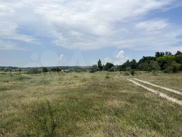 Участок 49,6 сот. (СНТ, ДНП)