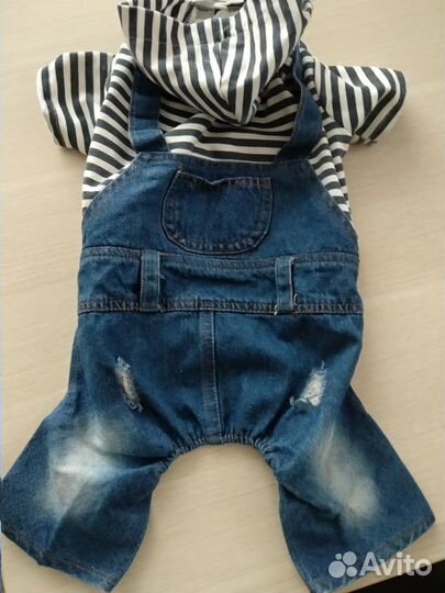 Костюм для собачки