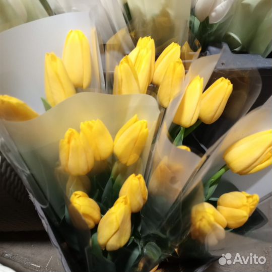 Тюльпаны к 8 марта