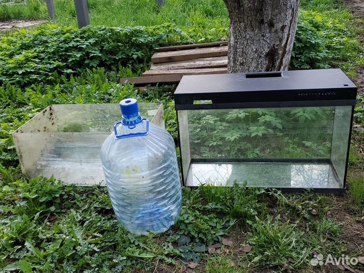 Аквариум и черепашатник