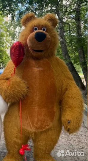 Бурый медведь поздравление на праздники