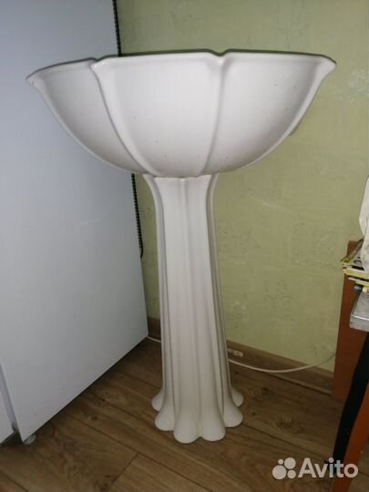 Раковина тюльпан