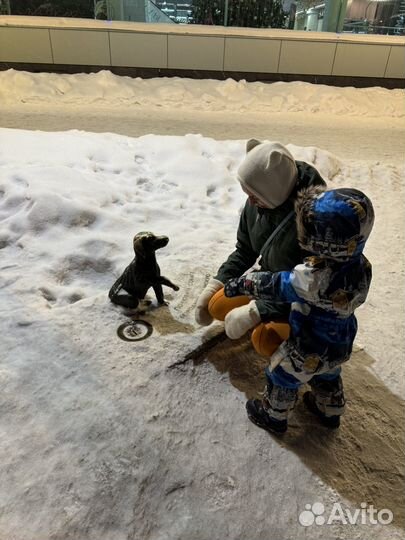 Зимний комбинезон 92-98 lassie