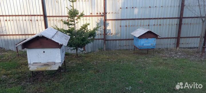 Улья б/у, рамки с сушью, подставки для ульев