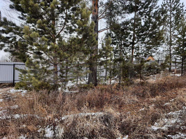 Участок 12 сот. (СНТ, ДНП)