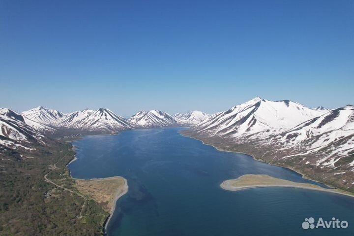 Камчатка морские прогулки/косатки/сивучи