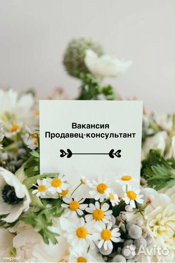 Продавец выходного дня (с. Оёк)