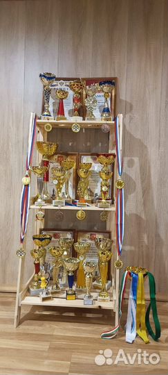 Тренер по шахматам