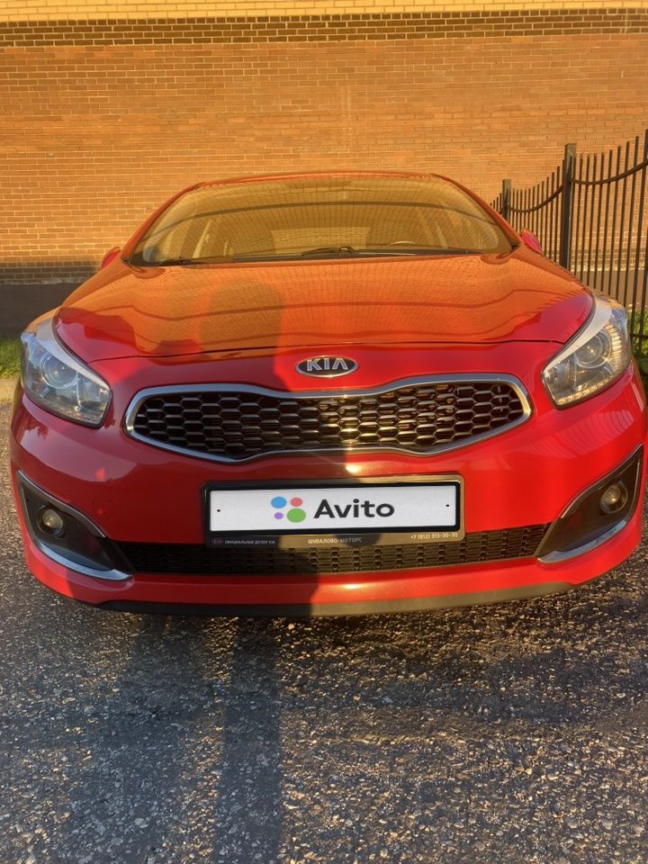 Kia Ceed: фото владельца